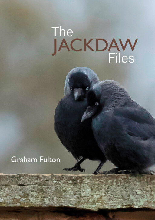The Jackdaw Files
