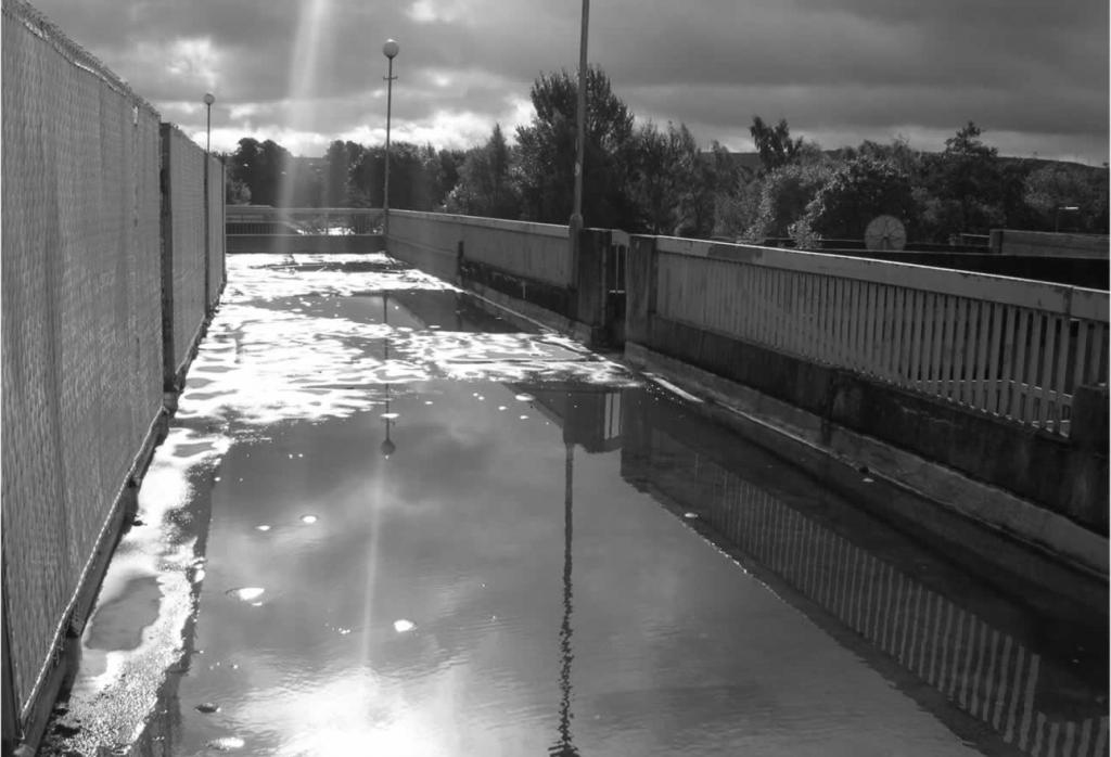 Graham Fulton Poetry From Scotland